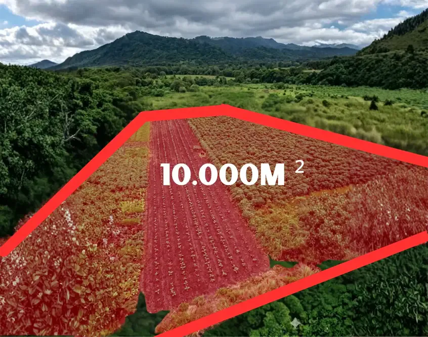 Foto 2 de 1 Hectárea en Venta en Tarumá – El Torno