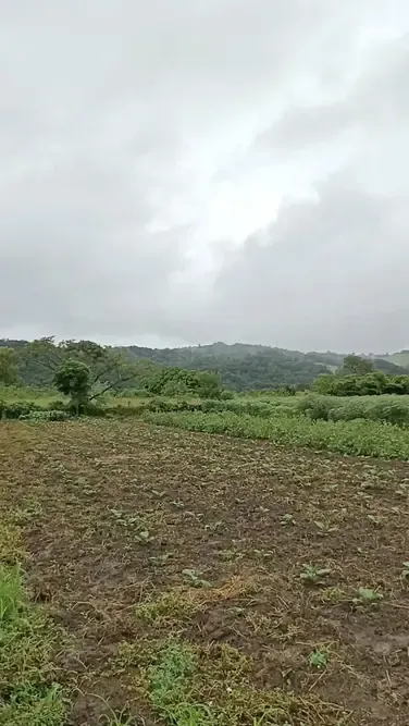 Foto 5 de 1 Hectárea en Venta en Tarumá – El Torno