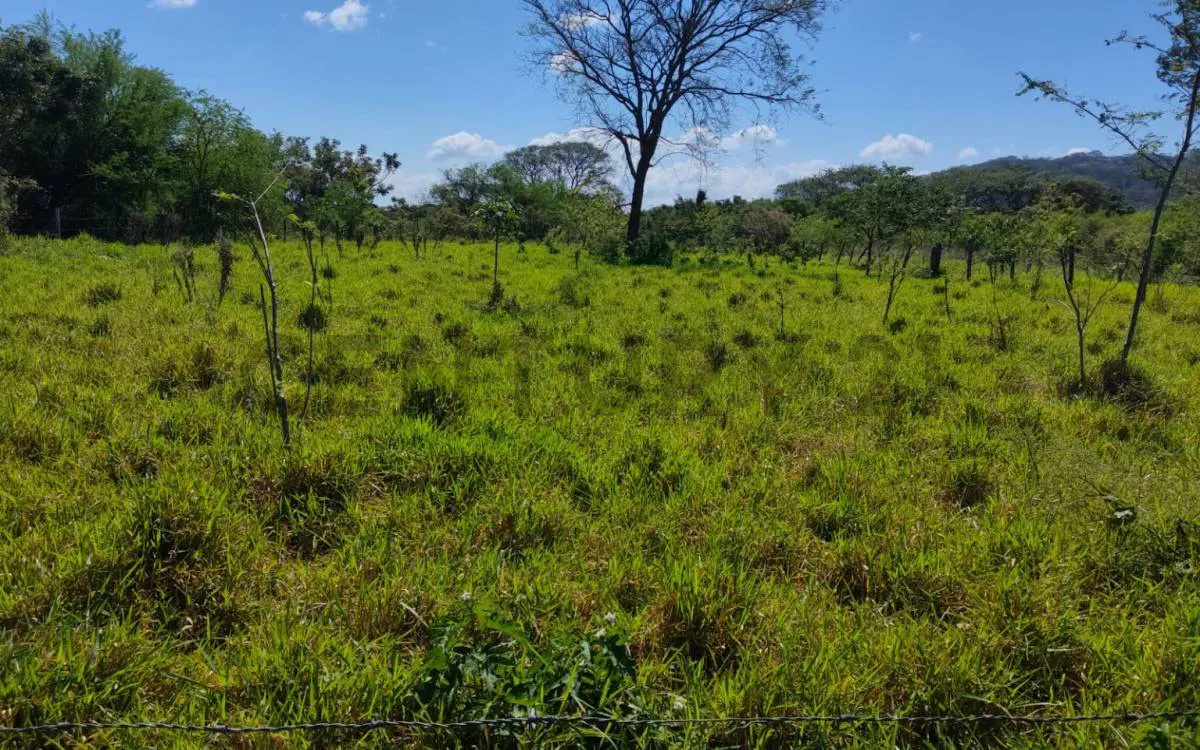 Foto 1 de Hermoso Terreno en Venta