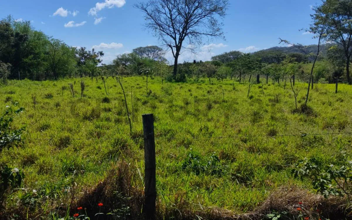 Foto 2 de Hermoso Terreno en Venta