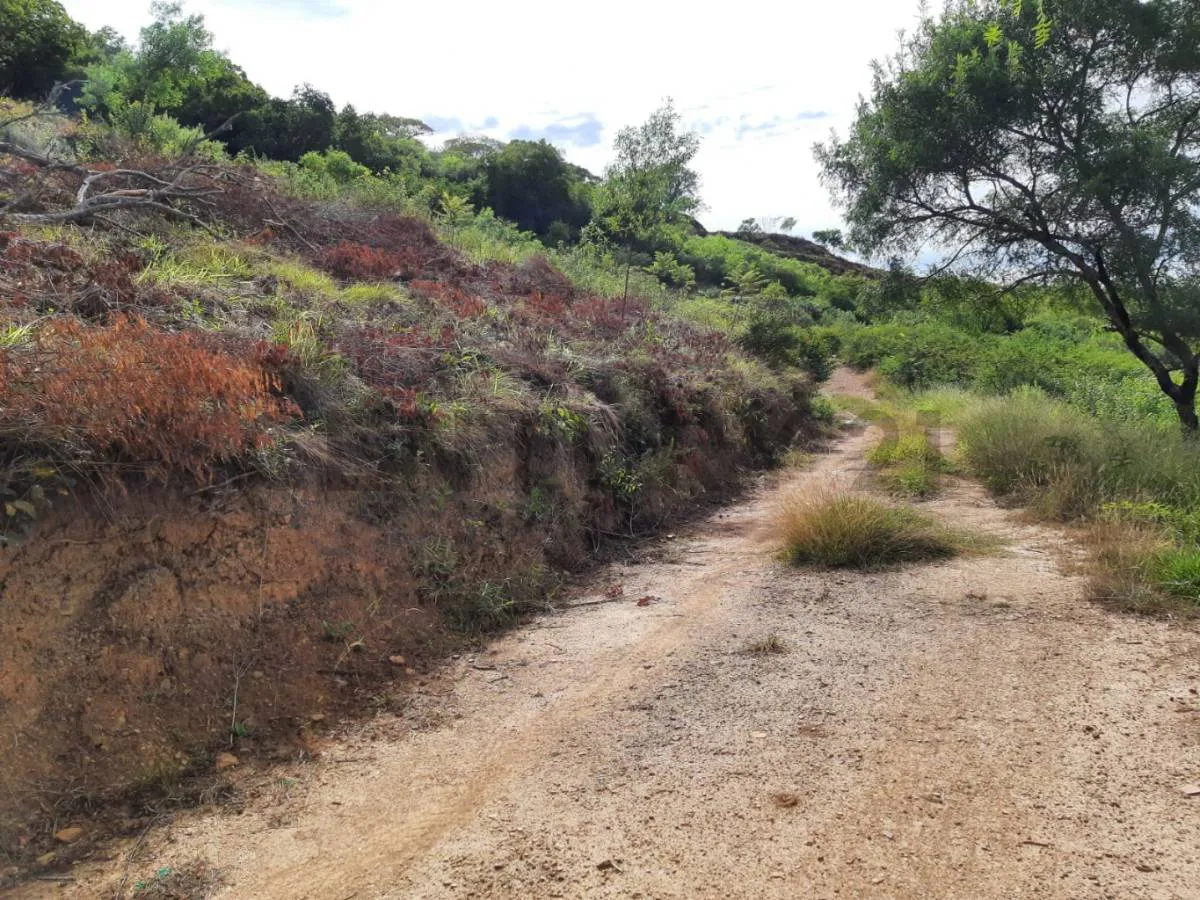 Foto 4 de Terreno en Venta – Samaipata