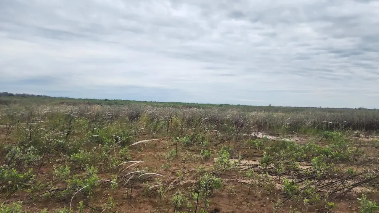 Foto 6 de En Venta | Propiedad Agroganadera En Brecha 5