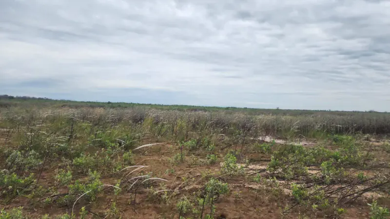 Foto 6 de En Venta | Propiedad Agroganadera En Brecha 5