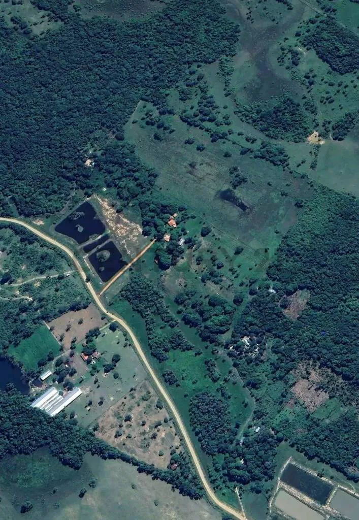 Foto 4 de Quinta o Propiedad Rural en Venta en Buena Vista