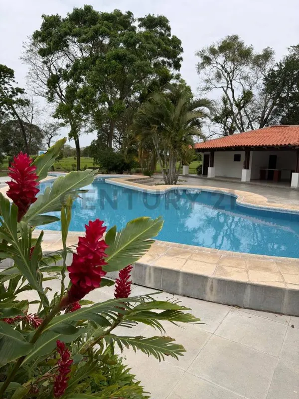 Foto 7 de Terreno en Venta en Warnes Centro Campestre Norte 2