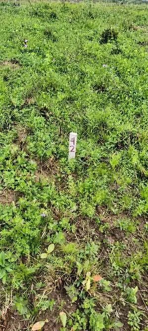 Foto 2 de Terreno en Venta - Urubó