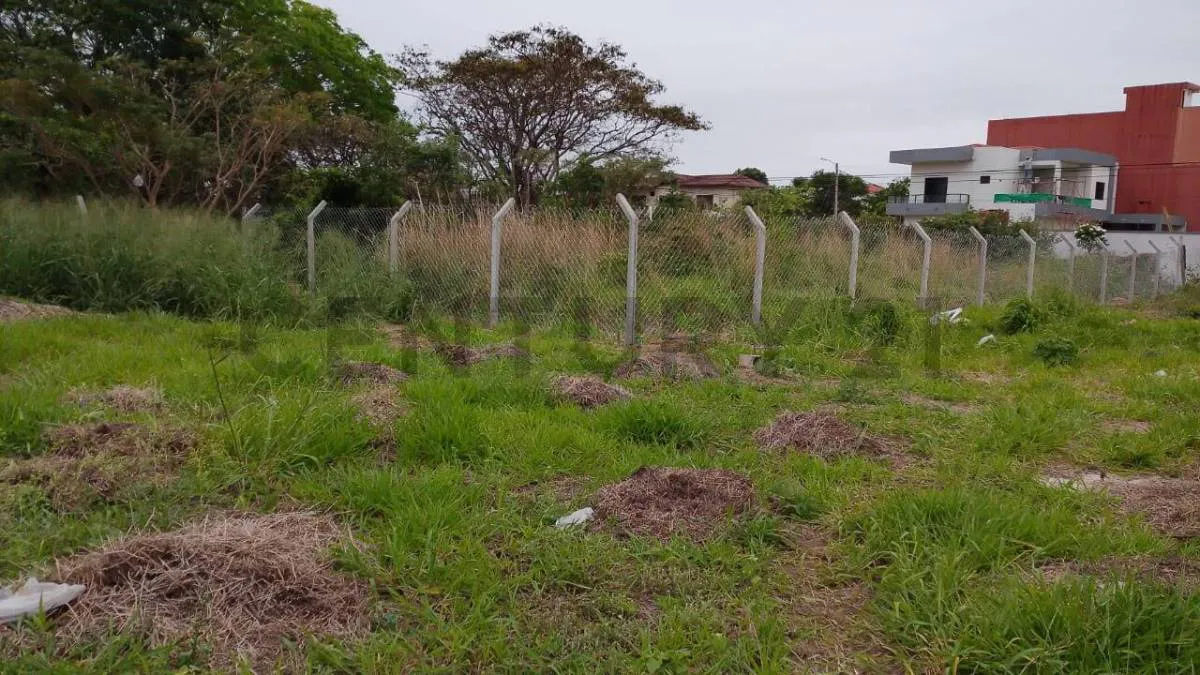 Foto 3 de Terreno en Esquina en Alquiler, en Zona Oeste