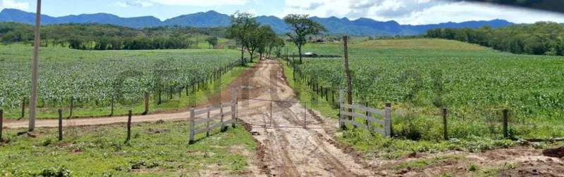 Foto 6 de Propiedad Agricola Ganadera en Venta