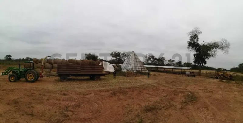 Foto 7 de Propiedad Agricola Ganadera en Venta
