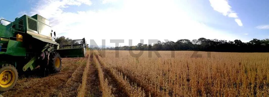 Foto 8 de Propiedad Agricola Ganadera en Venta