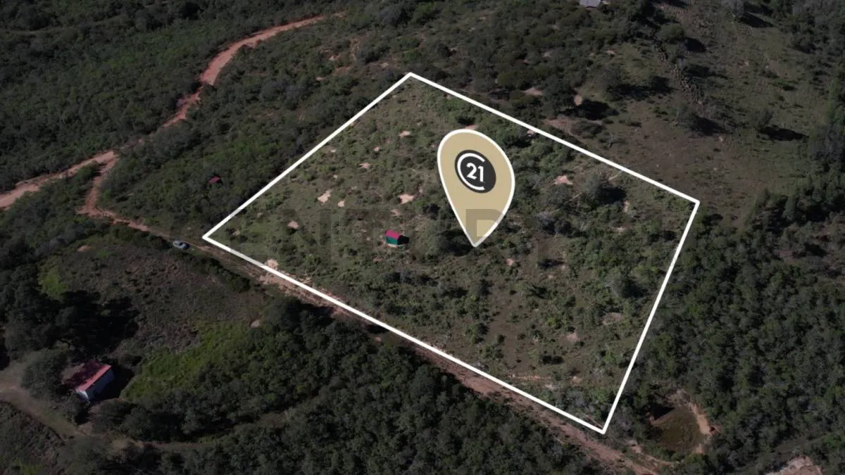 Foto 5 de Samaipata: 10.000 m² de terreno con Alto Potencial Turístico y Plusvalía
