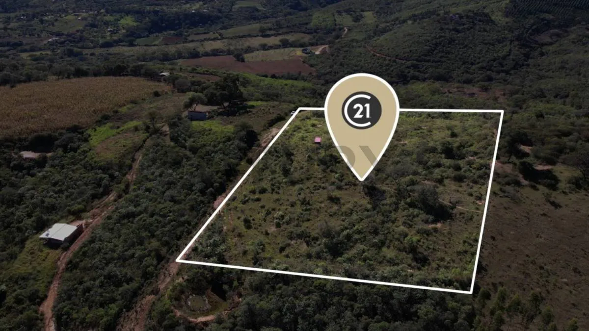 Foto 3 de Samaipata: 10.000 m² de terreno con Alto Potencial Turístico y Plusvalía