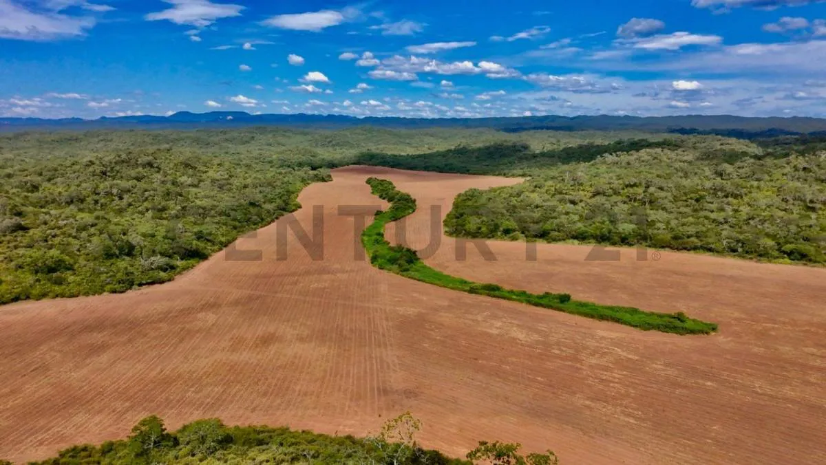 Foto 7 de Propiedad en Venta Camiri, a 5 km de la carretera