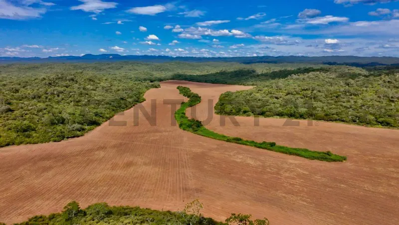 Foto 7 de Propiedad en Venta Camiri, a 5 km de la carretera