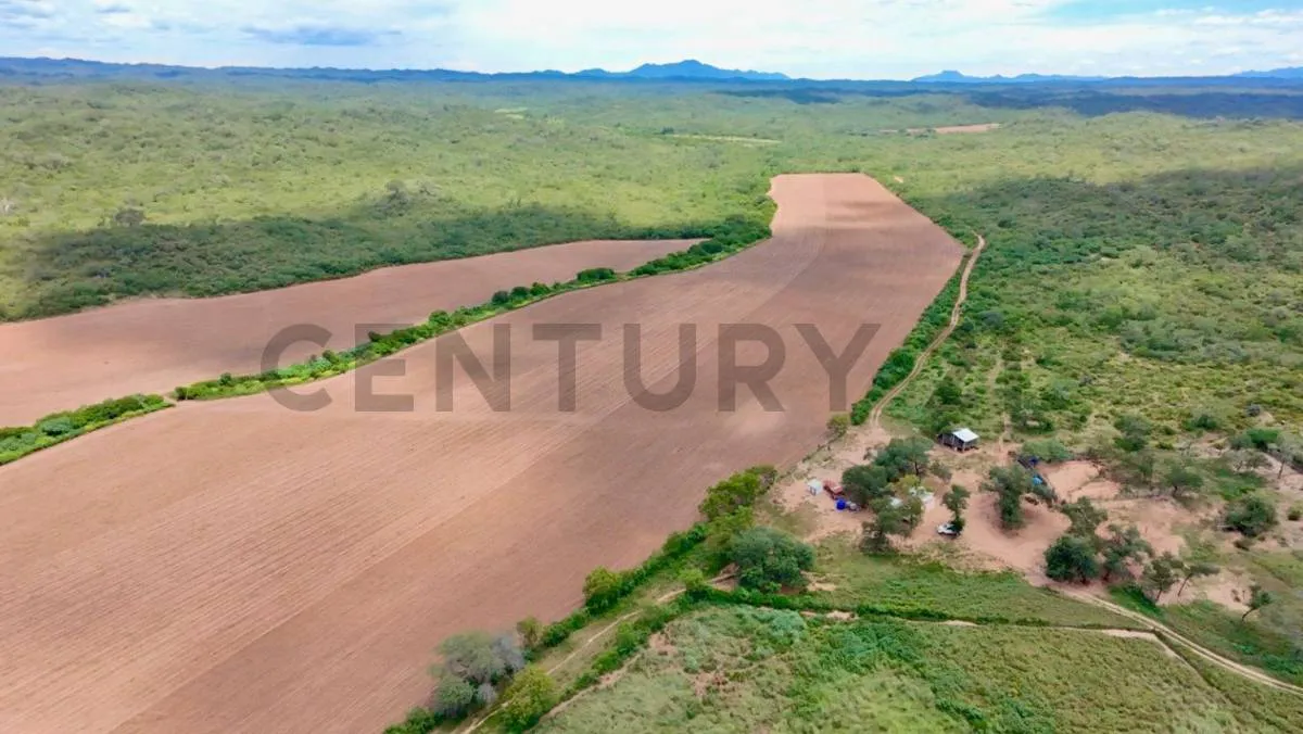 Foto 1 de Propiedad en Venta Camiri, a 5 km de la carretera