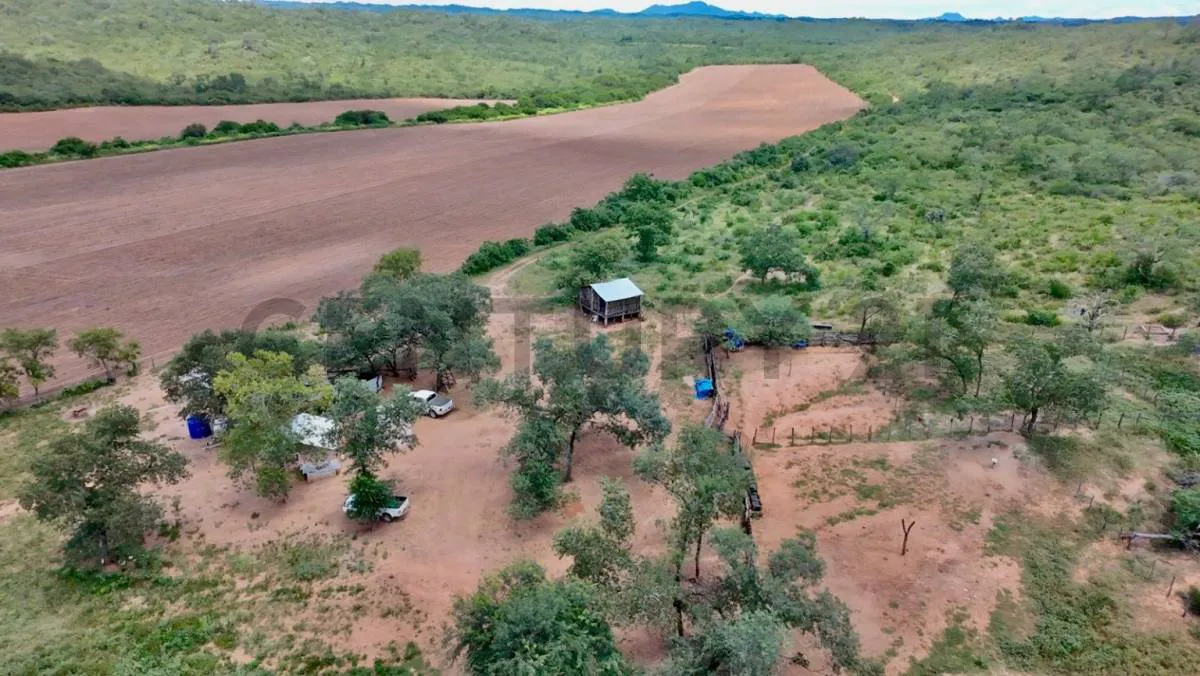 Foto 2 de Propiedad en Venta Camiri, a 5 km de la carretera