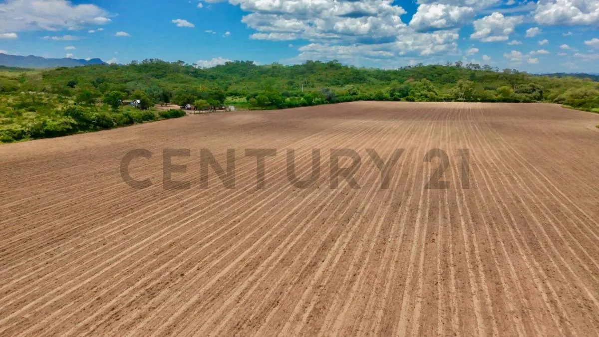Foto 3 de Propiedad en Venta Camiri, a 5 km de la carretera