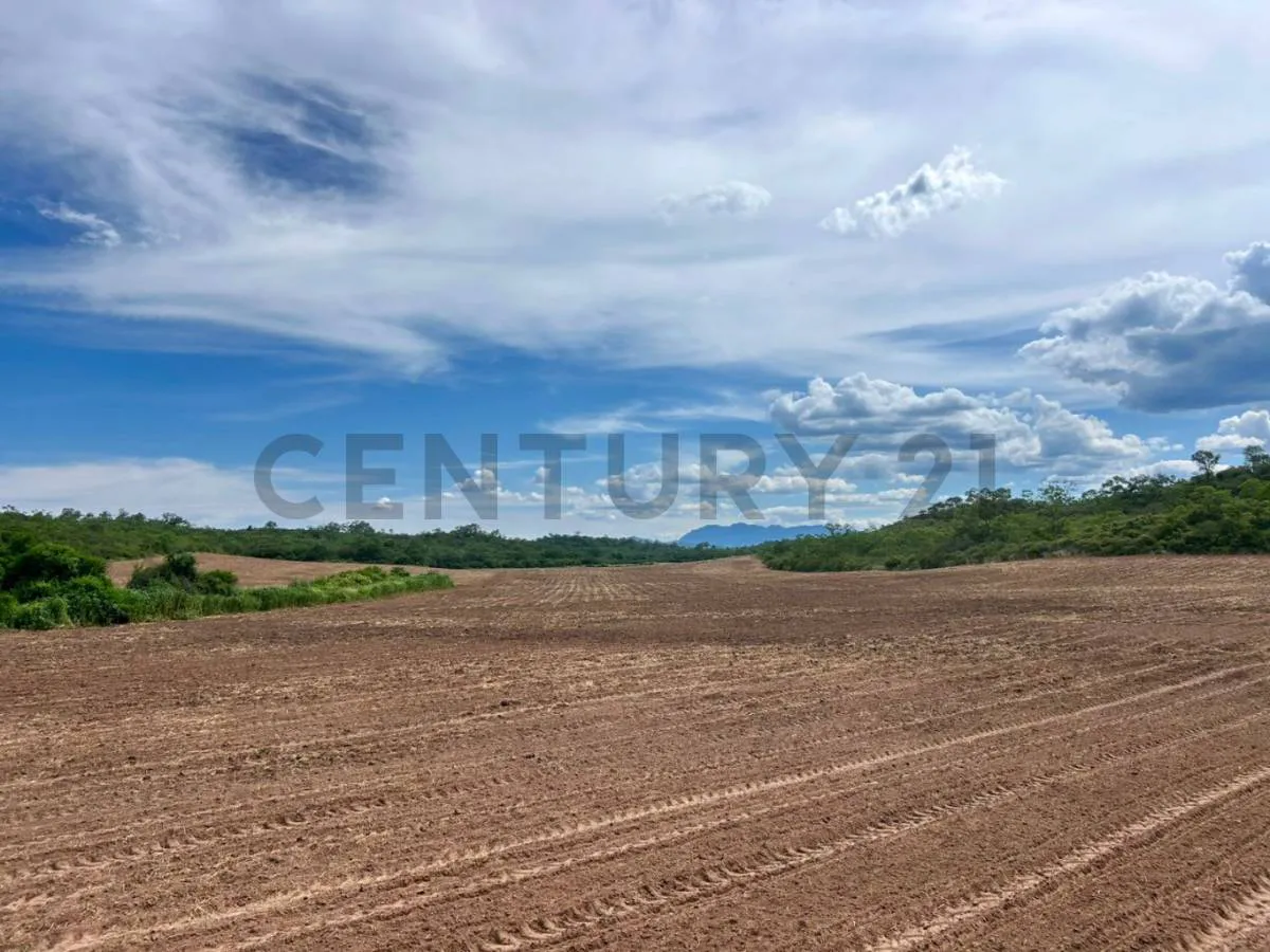 Foto 5 de Propiedad en Venta Camiri, a 5 km de la carretera