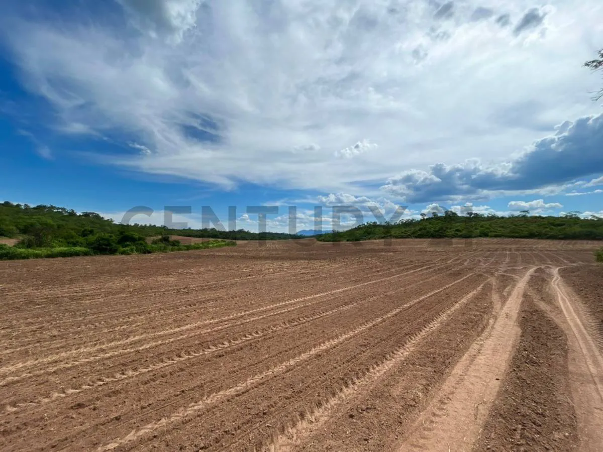 Foto 9 de Propiedad en Venta Camiri, a 5 km de la carretera