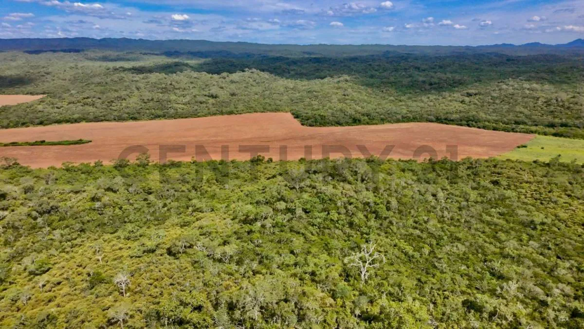 Foto 6 de Propiedad en Venta Camiri, a 5 km de la carretera