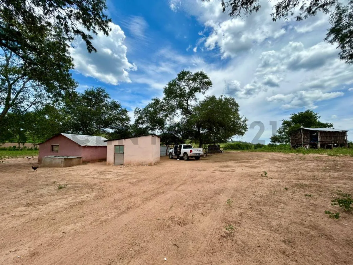 Foto 10 de Propiedad en Venta Camiri, a 5 km de la carretera