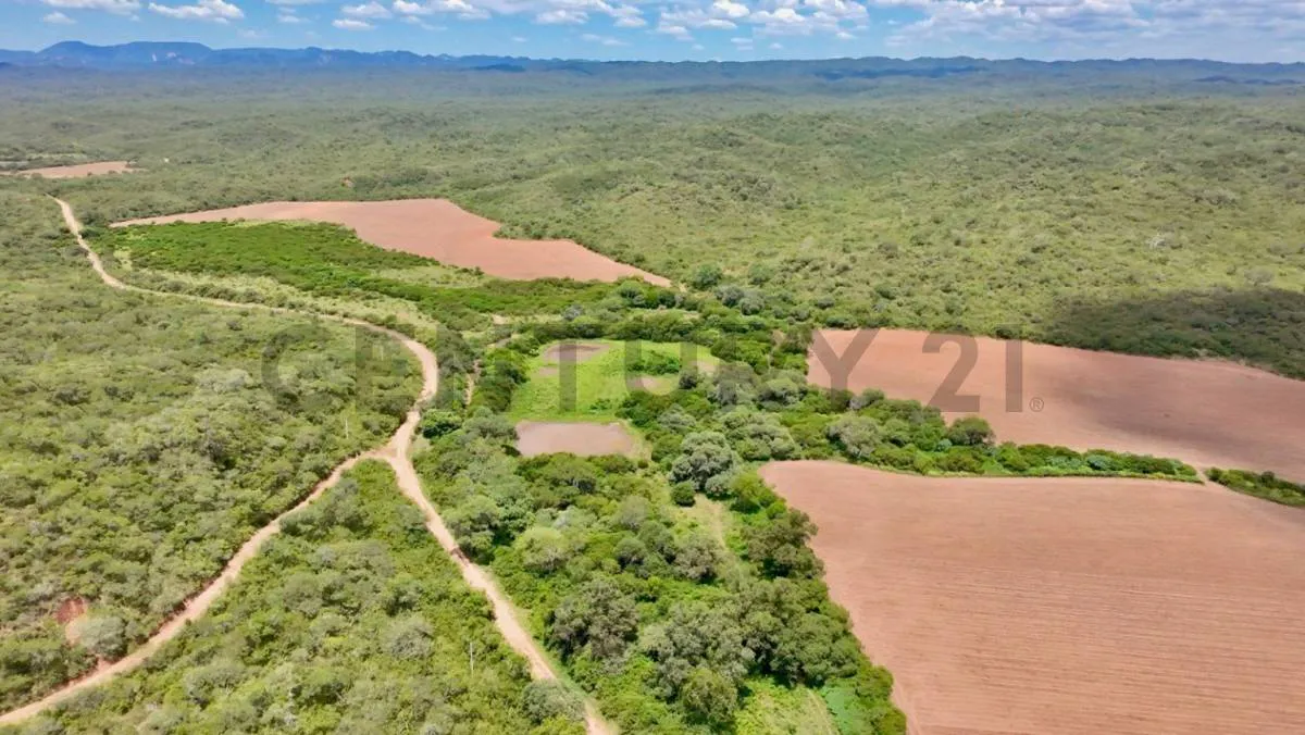 Foto 4 de Propiedad en Venta Camiri, a 5 km de la carretera
