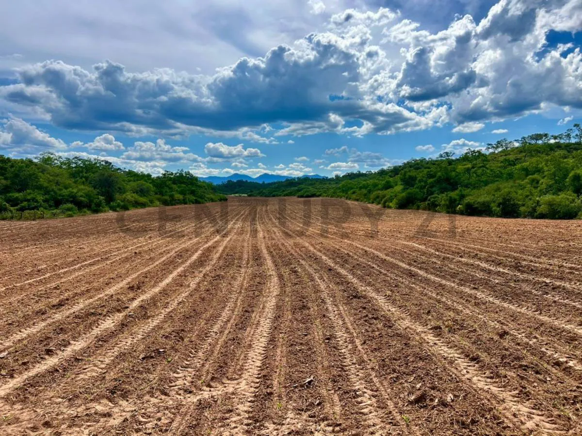 Foto 8 de Propiedad en Venta Camiri, a 5 km de la carretera