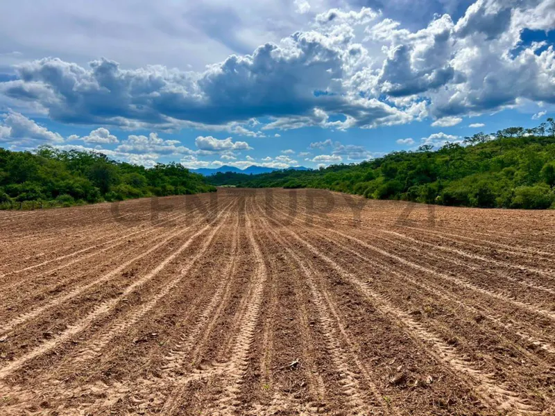Foto 8 de Propiedad en Venta Camiri, a 5 km de la carretera