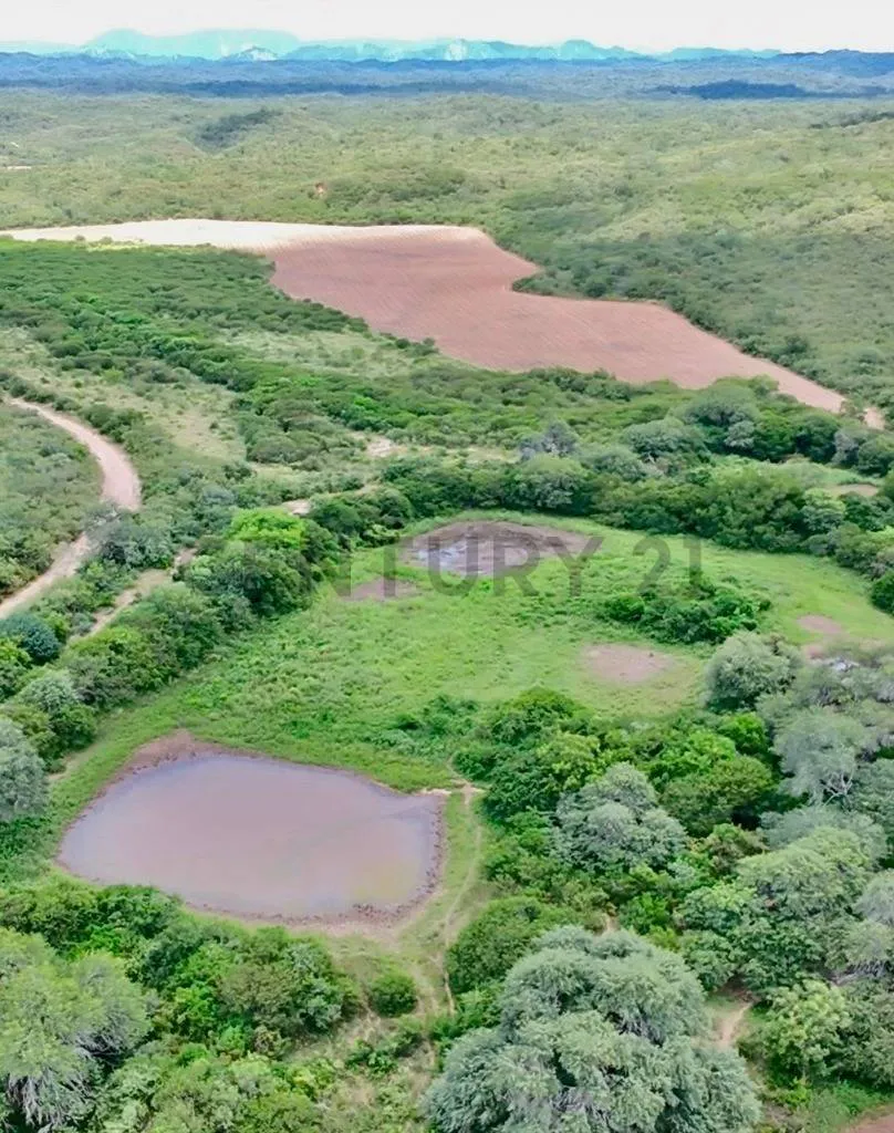 Foto 12 de Propiedad en Venta Camiri, a 5 km de la carretera