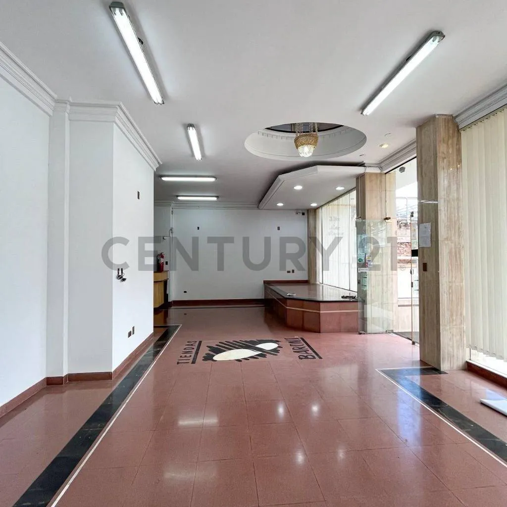 Foto 10 de Local Comercial en Venta