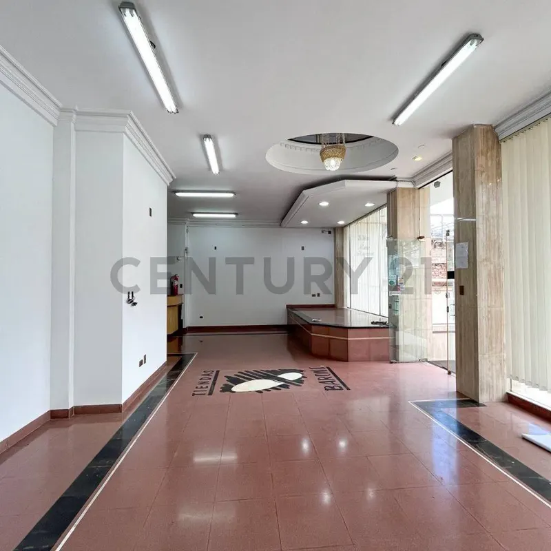 Foto 10 de Local Comercial en Venta
