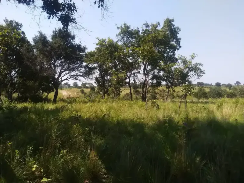 Foto 13 de Terreno de 6 Ha en El Urubó Es Tu Mejor Inversion