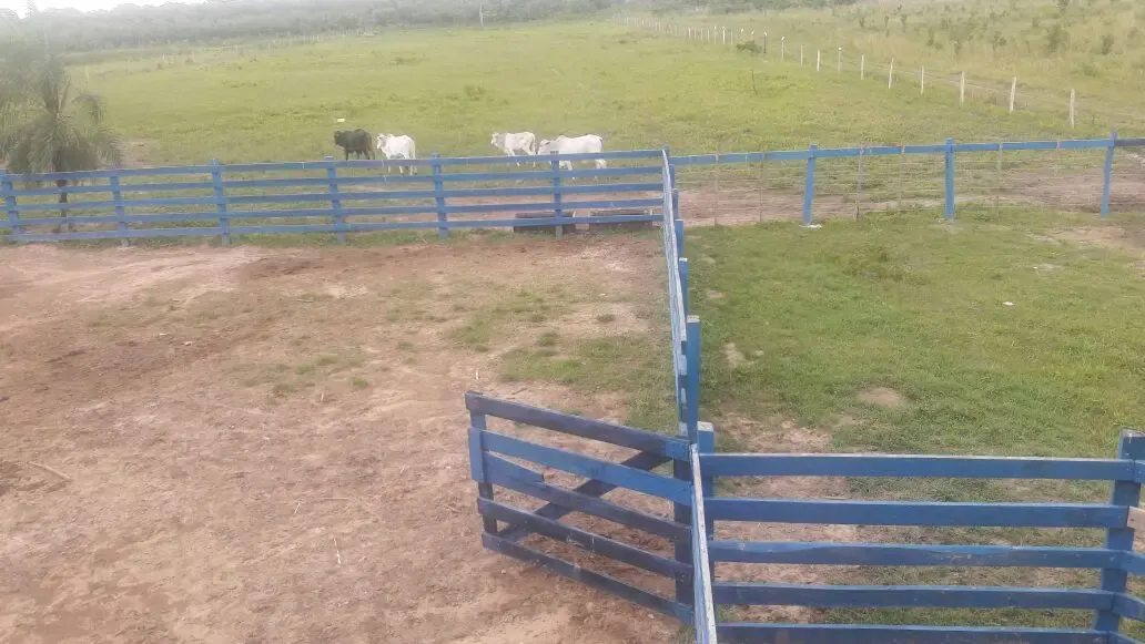 Foto 4 de Propiedad Agro - Ganadera en Venta