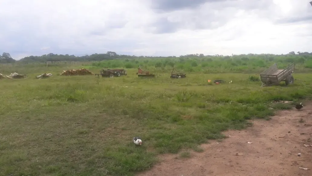 Foto 5 de Propiedad Agro - Ganadera en Venta
