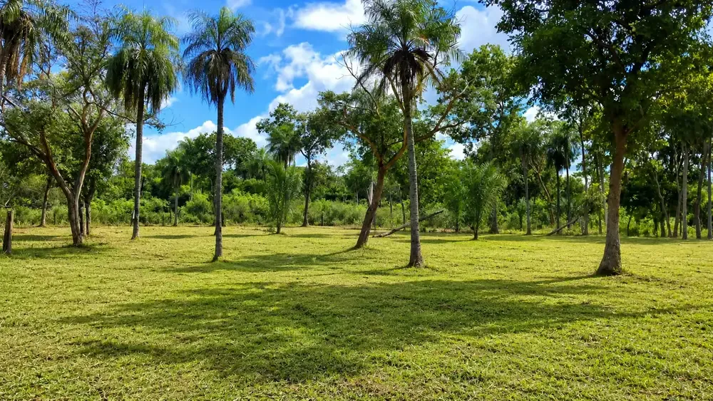 Foto 3 de Propiedad en Venta en San Jose de Chiquitos