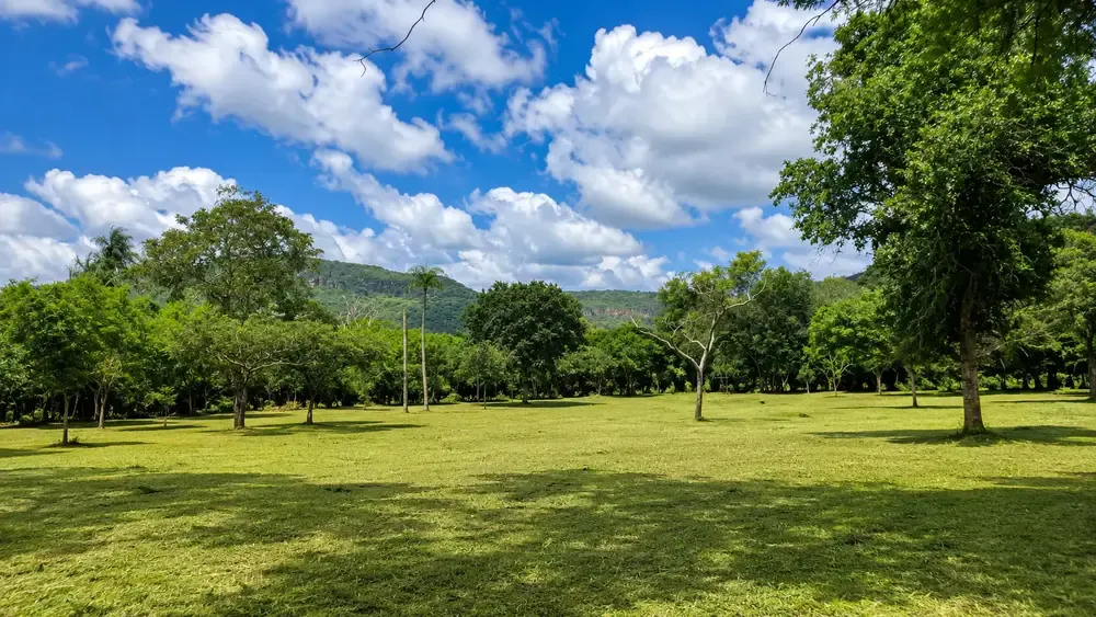 Foto 1 de Propiedad en Venta en San Jose de Chiquitos