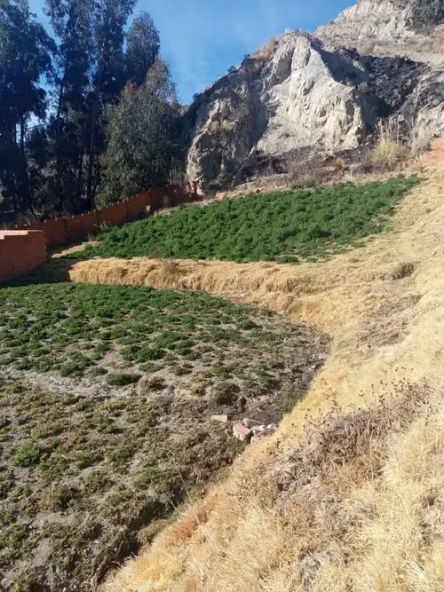 Foto 3 de 🌿 ¡Invierte en tu futuro Terreno en Urbanización “Alto Marquirivi” en Achocalla ! 🏡