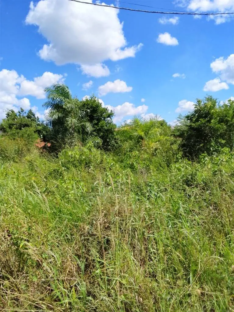 Foto 2 de Terreno en venta en Urbanización Pentaguazú II