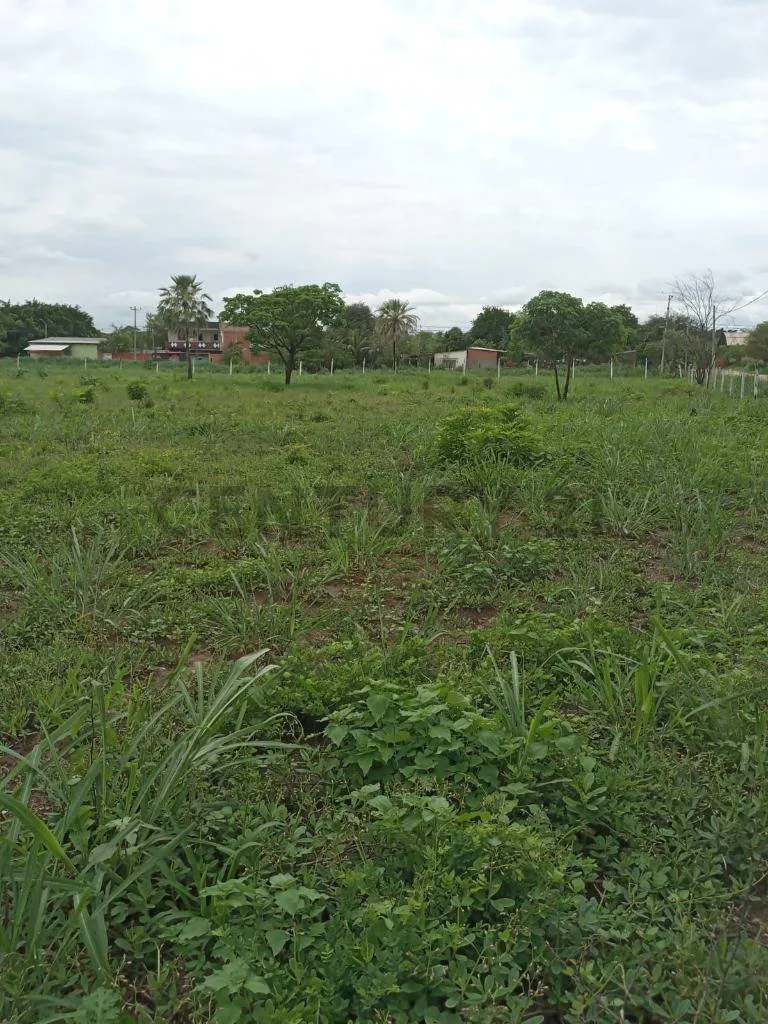 Foto 1 de Terrenos en Venta – Puerto Quijarro Provincia Germán Busch – Av. El Carmen