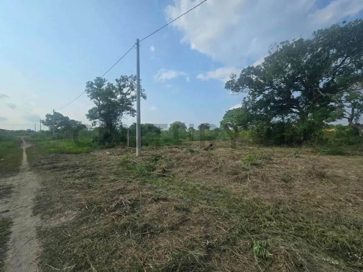 Foto 3 de Terreno en Venta con Dimenciones Atractivas
