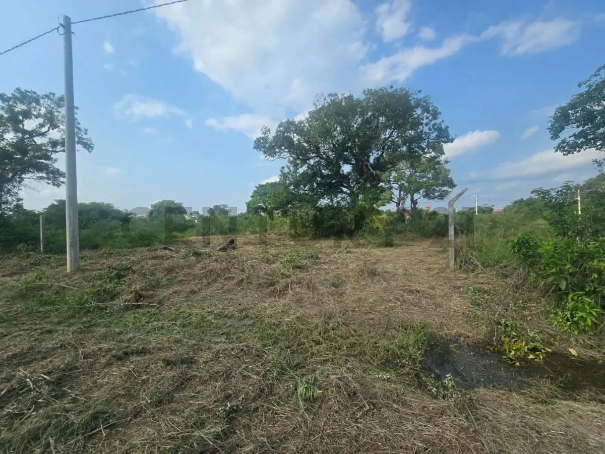 Foto 1 de Terreno en Venta con Dimenciones Atractivas