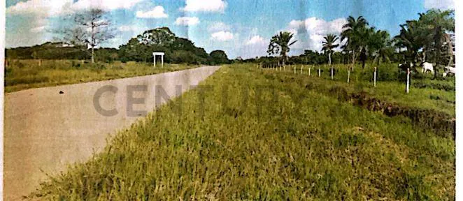 Foto 5 de Terreno en venta
