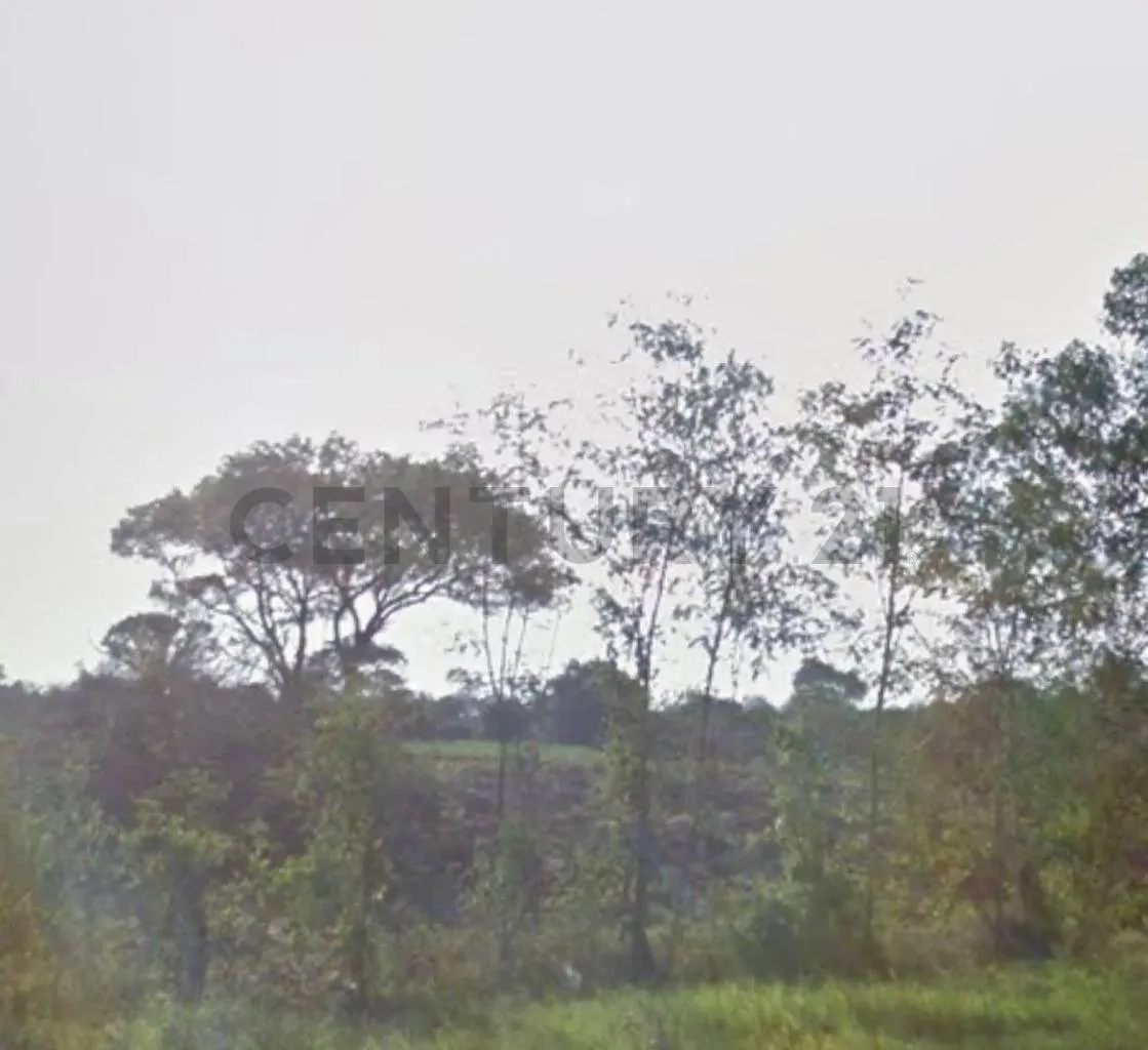 Foto 1 de Terreno en Venta en Urbanizacion Villa Milagros Brecha 7