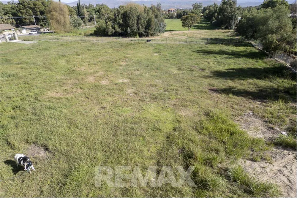 Foto 16 de Terreno en Alquiler-Av. Reducto