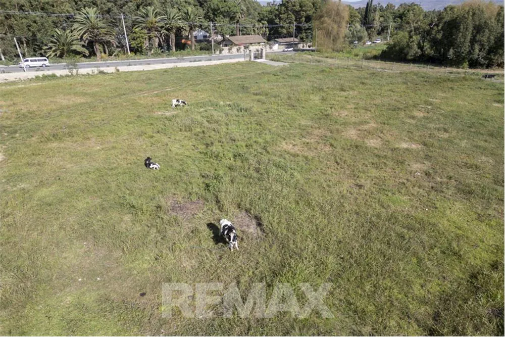 Foto 15 de Terreno en Alquiler-Av. Reducto