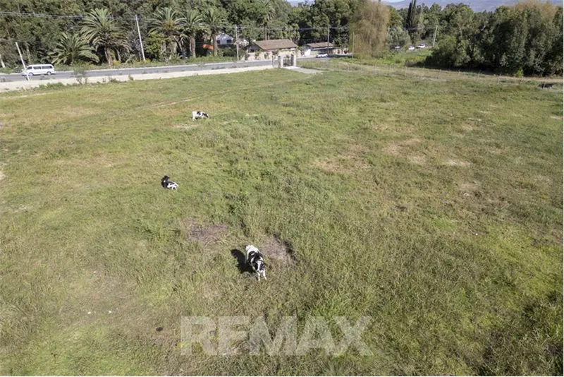 Foto 15 de Terreno en Alquiler-Av. Reducto