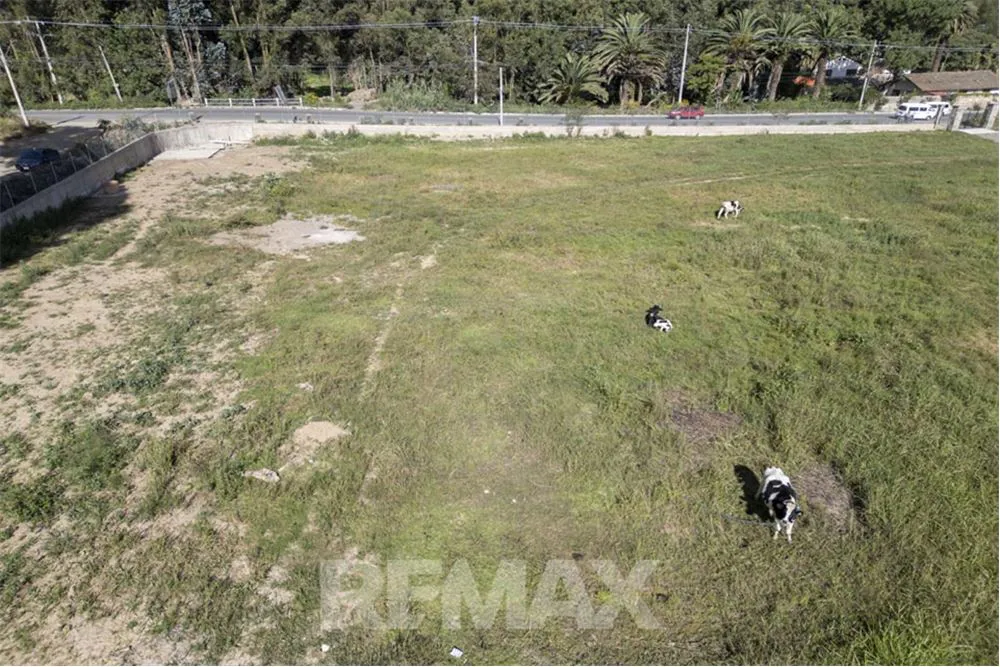 Foto 14 de Terreno en Alquiler-Av. Reducto