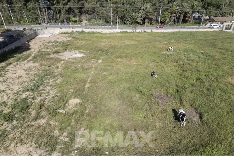 Foto 14 de Terreno en Alquiler-Av. Reducto