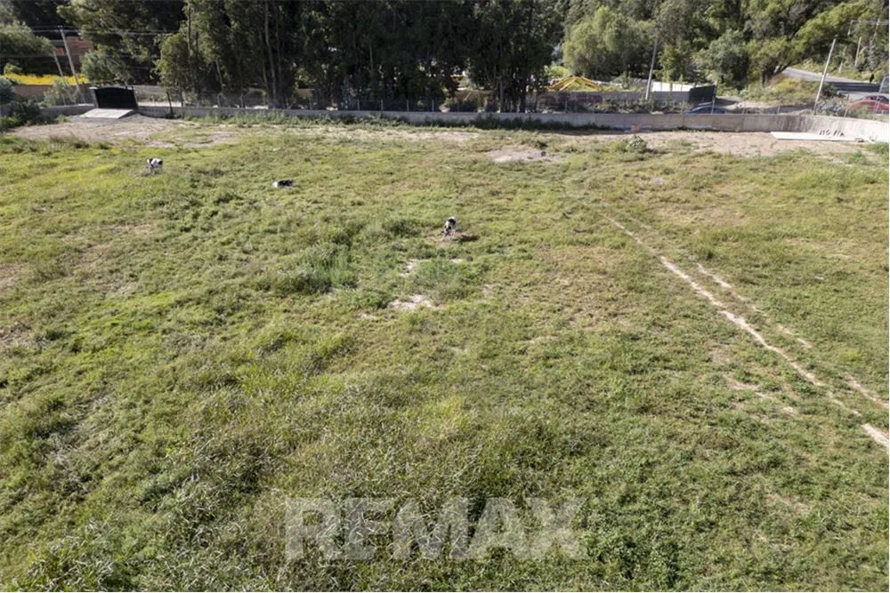 Foto 11 de Terreno en Alquiler-Av. Reducto