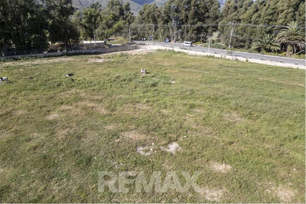 Foto 12 de Terreno en Alquiler-Av. Reducto
